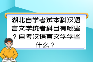 湖北自學考試本科漢語言文學統(tǒng)考科目有哪些？自考漢語言文學學些什么？