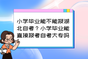 小學(xué)畢業(yè)能不能報湖北自考？小學(xué)畢業(yè)能直接報考自考大專嗎？