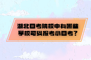 湖北自考院校中有哪些學(xué)校可以報(bào)考小自考？