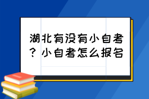 湖北有沒(méi)有小自考？小自考怎么報(bào)名？