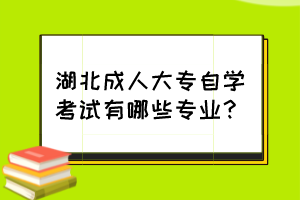 湖北成人大專自學(xué)考試有哪些專業(yè)？
