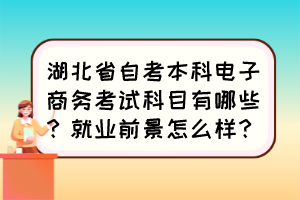 湖北省自考本科電子商務考試科目有哪些？就業(yè)前景怎么樣？