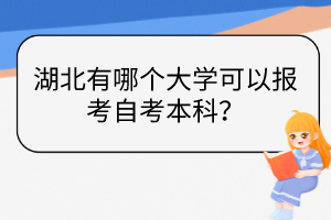 湖北有哪個大學可以報考自考本科？