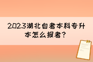 2023湖北自考本科專升本怎么報(bào)考？