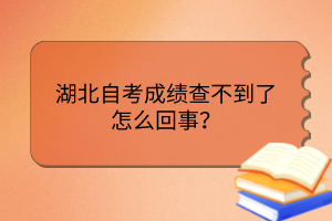 湖北自考成績查不到了怎么回事？