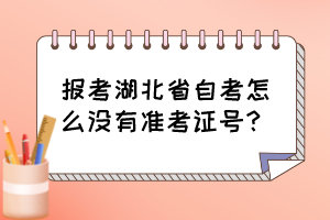 報考湖北省自考怎么沒有準考證號？
