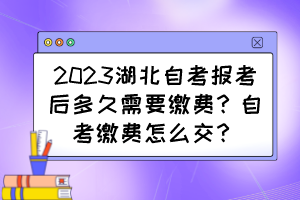 2023湖北自考報(bào)考后多久需要繳費(fèi)？自考繳費(fèi)怎么交？