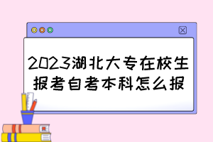 2023湖北大專(zhuān)在校生報(bào)考自考本科怎么報(bào)？