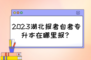 2023湖北報考自考專升本在哪里報？