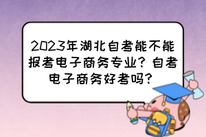 2023年湖北自考能不能報考電子商務專業(yè)？自考電子商務好考嗎？