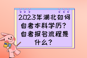 2023年湖北如何自考本科學(xué)歷？自考報名流程是什么？