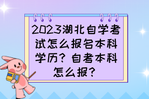 2023湖北自學(xué)考試怎么報(bào)名本科學(xué)歷？自考本科怎么報(bào)？