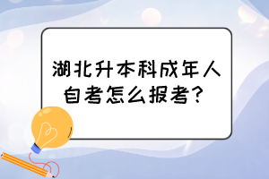 湖北升本科成年人自考怎么報(bào)考？