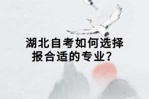 湖北自考如何選擇報合適的專業(yè)？