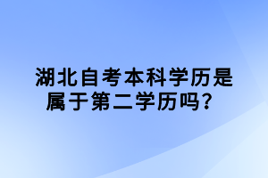 湖北自考本科學(xué)歷是屬于第二學(xué)歷嗎？