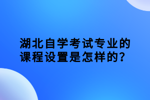 湖北自學(xué)考試專業(yè)的課程設(shè)置是怎樣的？