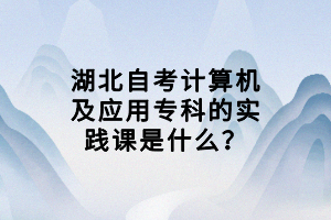 湖北自考計(jì)算機(jī)及應(yīng)用?？频膶?shí)踐課是什么？