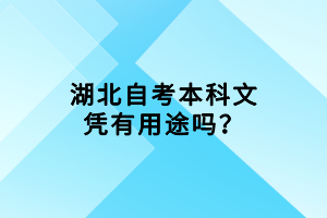 湖北自考本科文憑有用途嗎？