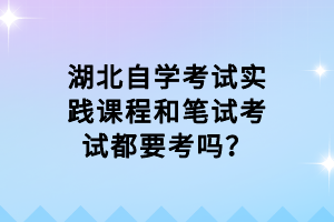 湖北自學(xué)考試實(shí)踐課程和筆試考試都要考嗎？