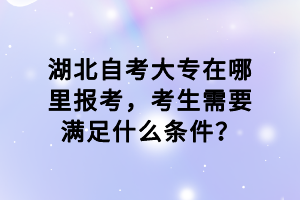 湖北自考大專在哪里報考，考生需要滿足什么條件？
