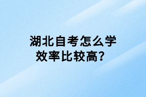 湖北自考怎么學(xué)效率比較高？