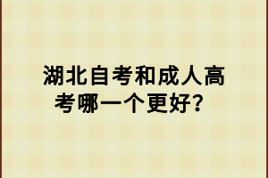 湖北自考和成人高考哪一個更好？
