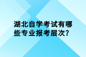 湖北自學(xué)考試有哪些專業(yè)報(bào)考層次？