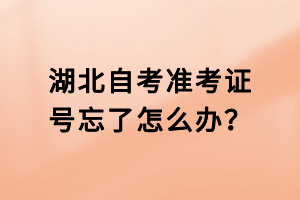 湖北自考準(zhǔn)考證號忘了怎么辦？