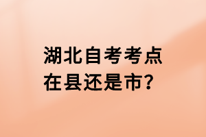 湖北自考考點在縣還是市？