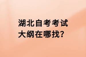 湖北自考考試大綱在哪找？