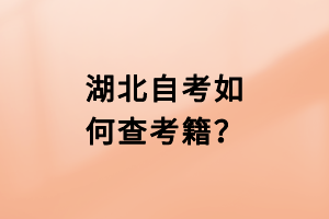 湖北自考如何查考籍？