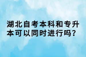 湖北自考本科和專升本可以同時(shí)進(jìn)行嗎？