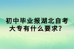 初中畢業(yè)報湖北自考大專有什么要求？