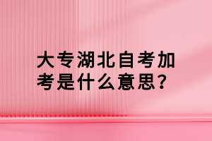 大專湖北自考加考是什么意思？