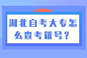 湖北自考大專怎么查考籍號(hào)？