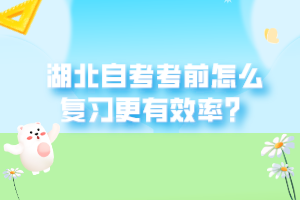 湖北自考考前怎么復(fù)習(xí)更有效率？