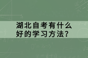 湖北自考有什么好的學(xué)習(xí)方法？