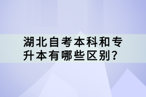 湖北自考本科和專升本有哪些區(qū)別？