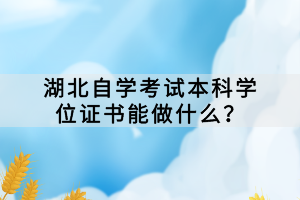 湖北自學(xué)考試本科學(xué)位證書能做什么？