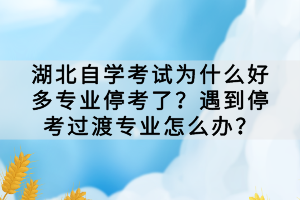 湖北自學(xué)考試為什么好多專業(yè)?？剂?？遇到?？歼^渡專業(yè)怎么辦？
