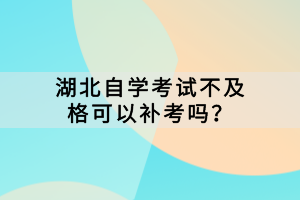 湖北自學(xué)考試不及格可以補考嗎？