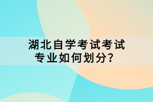 湖北自學(xué)考試考試專業(yè)如何劃分？