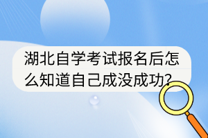 湖北自學考試報名后怎么知道自己成沒成功？