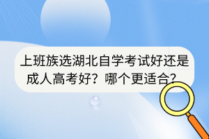 上班族選湖北自學(xué)考試好還是成人高考好？哪個(gè)更適合？