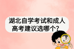 湖北自學考試和成人高考建議選哪個？