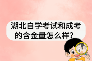 湖北自學考試與函授哪個認可度高？好處更大？