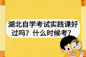 湖北自學考試實踐課好過嗎？什么時候考？