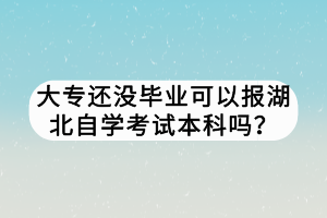 大專還沒畢業(yè)可以報湖北自學考試本科嗎？