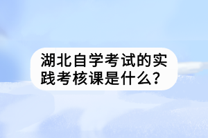 湖北自學考試的實踐考核課是什么？