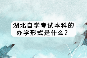 湖北自學(xué)考試本科的辦學(xué)形式是什么？